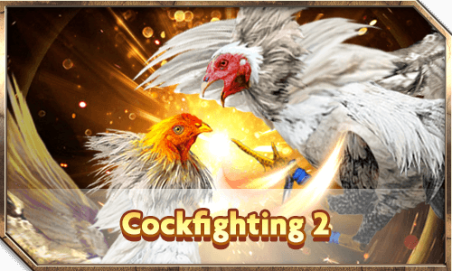 cockfighting 2 R88